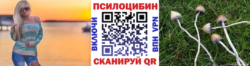 наркотики  Верхняя Пышма  блэк спрут маркетплейс  Псилоцибиновые грибы MAGIC MUSHROOMS 